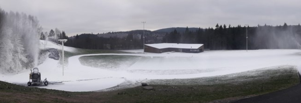 Snøvakter januar